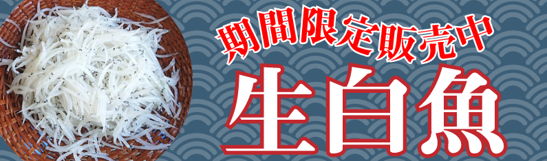 期間限定 生白魚